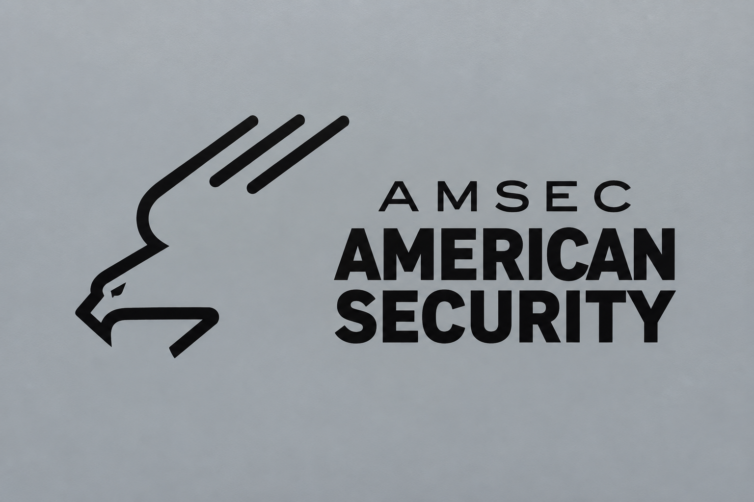 Straightened American Security custom logo on a gray enclosure panel.